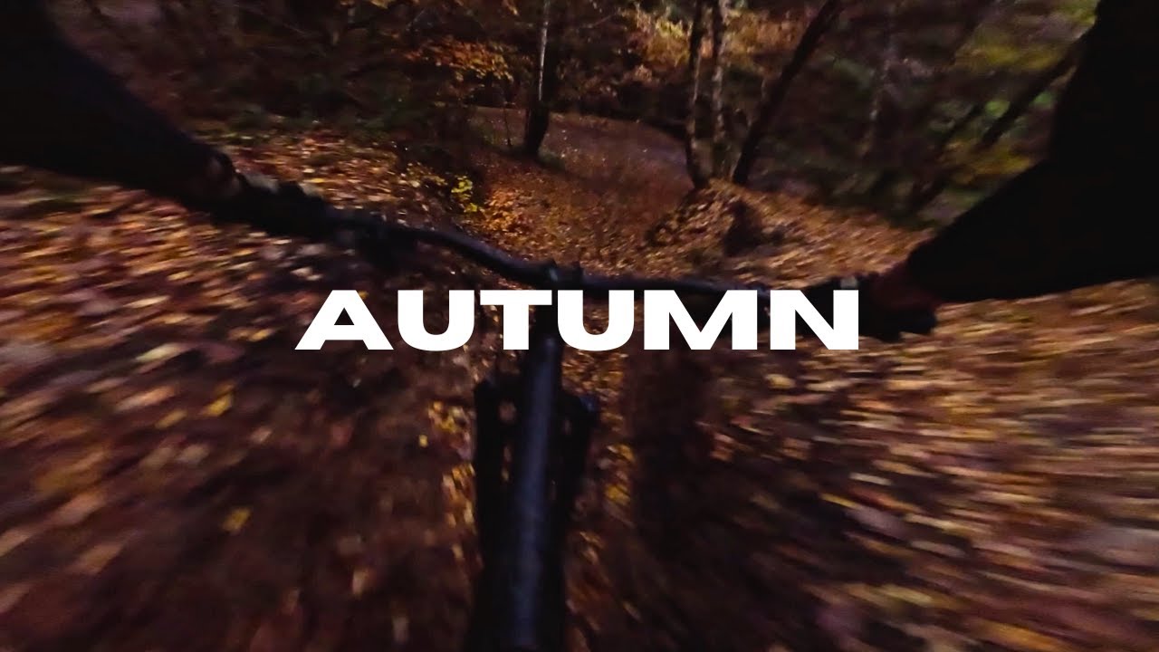 Autumn at Chopwell Woods is NEXT LEVEL!