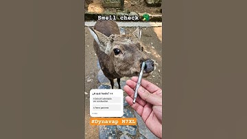 Ya límpialo tu @Dynavapllc 👃 #vapotlan #DynavapMexico #SinCombustion