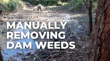 How to Manually Remove Weeds from a Dam