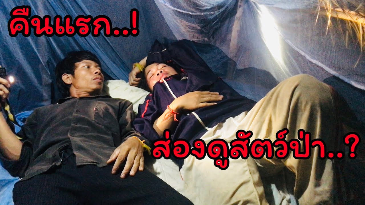 พาเมียนอนไร่บนภูเขาห่างไหลจากบ้าน ตกดึกส่องไฟฉายดูสัตว์ป่ามากินข้าวโพดที่กลางไร่ - YUB AVERN