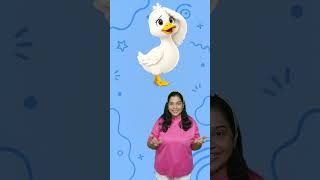 Kids Duck Song! #kids #shorts #kidsvideo