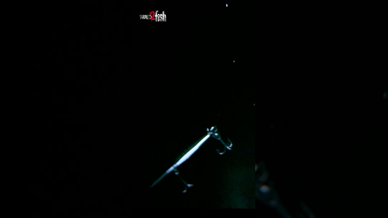 DUO Realis Spybait Showcasing Its Shimmy 🤤