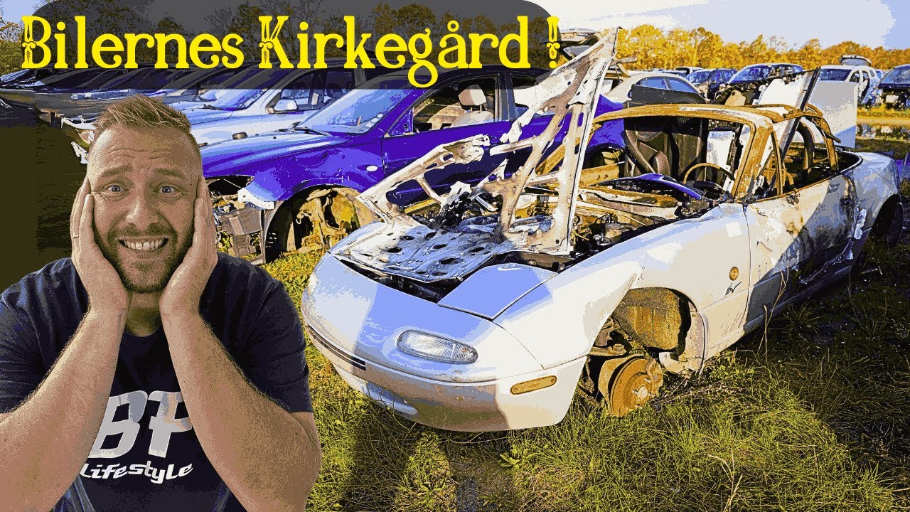 Bilernes kirkegård !!