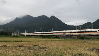 426次太魯閣號高速通過山里站南(2021.11.27)