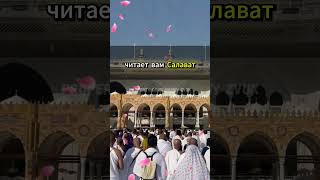 Кто будет ближе всех к Пророку ﷺ в Судный День?#ПророкМухаммад #СудныйДень #ЛюбовьКПророку #Ислам