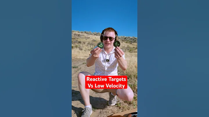 Reactive Targets Vs Low Velocity Rounds? (Firebird 65 Targets) *Discount Code* #gun #pewpew #guns