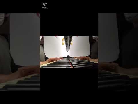 【パレット柏・グランドピアノ】
