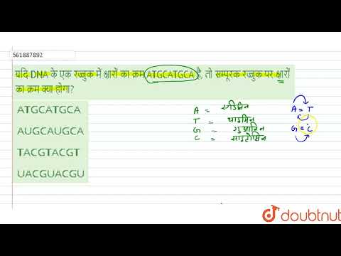 वीडियो: पूरक DNA रज्जुक पर नाइट्रोजन क्षारकों का क्रम कौन सा है?