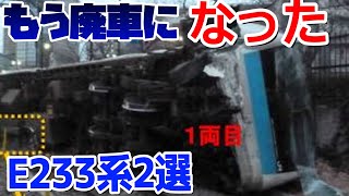 【E233系の早すぎる廃車】もう廃車になったE233系を2種類紹介します！