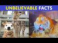 Amazing World Facts That Will Blow Your Mind 🌍