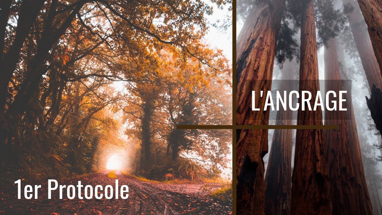 Pourquoi et comment s'ancrer ? + Méditation