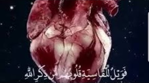 من اجمل ما سمعت تلاوة جد مؤثرة للشيخ رعد الكردي