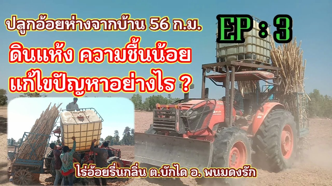 ปลูกอ้อยในดินความชื้นน้อย  ปลูกอย่างไรให้พ้นแล้ง  ไร่อ้อยรื่นกลิ่น EP:3   ฤดูกาล2564