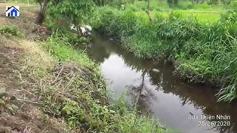 Bán đất trung tâm xã Đá Bạc, Châu Đức, BRVT, có không gian đẹp dt 1.2 hecta giá 6 tỷ