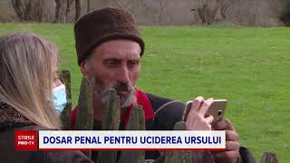 Anchetă Privind Împuşcarea Ursului Arthur. Legea Ar Putea Fi Schimbată