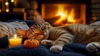 12 Hours Cat Music 🐈 Soothing Music For Cats - Gentle Nature Ambience For Cats Calm Rest screenshot 5