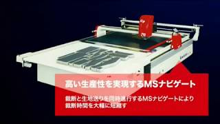 Auto Cutter