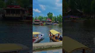 jeena yahan | #dallake #travelshorts #travelvlog #trip