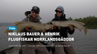 Niklaus & Henrik flugfiskar norrlandsgäddor