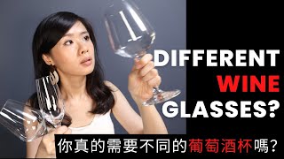 Do you really need DIFFERENT GLASSES for DIFFERENT WINES 你真的需要不同的葡萄酒杯嗎? (Eng Subs + 中文字幕)