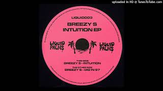 Breezy S — Intuition