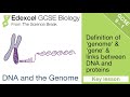 Gambar cover Edexcel GCSE Biology - DNA and the Genome