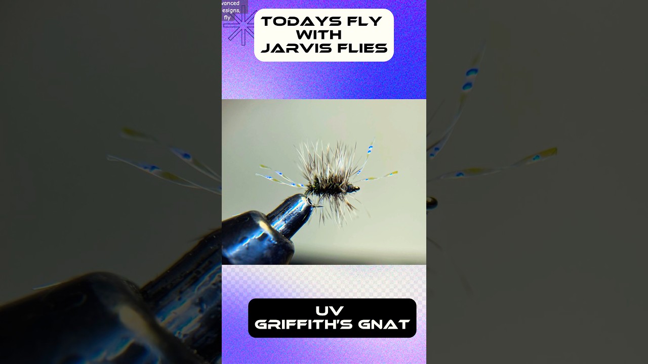 How to tie a uv Griffiths Gnat! 