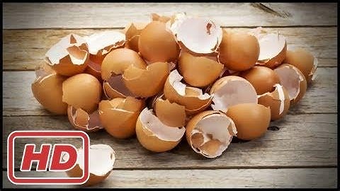 [Healthy Life]After Watching This Video You Will Never Throw Away Eggshells!