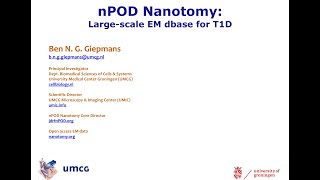 dkNET Webinar -  nPOD Nanotomy: Large-Scale EM Database for Human Type 1 Diabetes 02/12/2021
