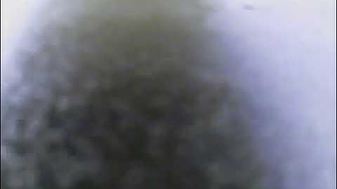 Convergence Vtol Fpv playing (3. try)