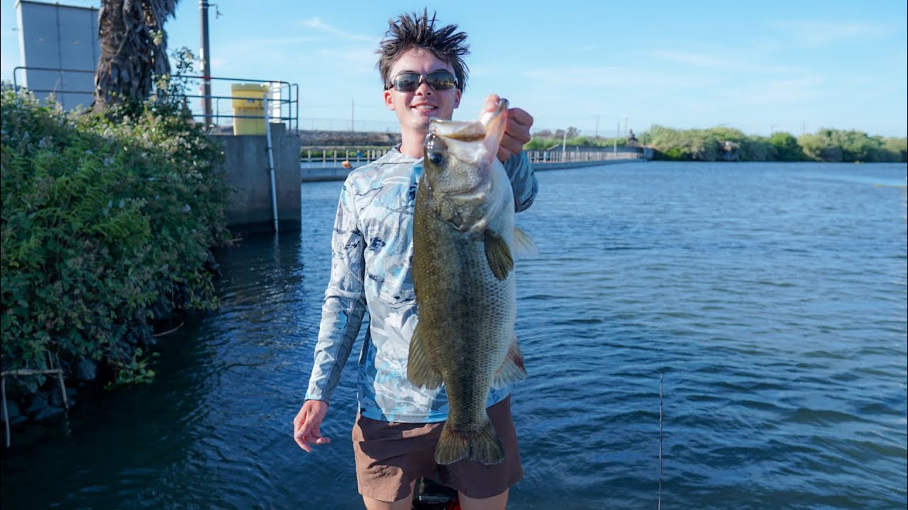 Delta Chunk