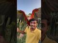 pakshi ka video