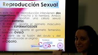 Explicaci贸n Reproducci贸n 1 (Parte 2) Explicaci贸n Reproducci贸n 1 (Parte 2)