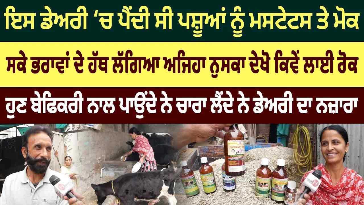 ਆਹ ਨੁਸਕਾ ਅਜ਼ਮਾਓ ਮੋਕ ਨੂੰ ਡੇਅਰੀ ‘ਚ ਹਮੇਸ਼ਾ ਲਈ ਭਜਾਓ