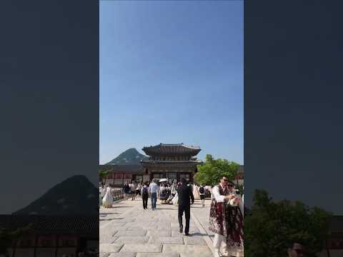 서울 가볼만한곳 여행 코스 경복궁 구경 #서울여행 #경복궁 #seoul