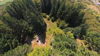 6685 SW West Hills Rd Corvallis, OR 97333
