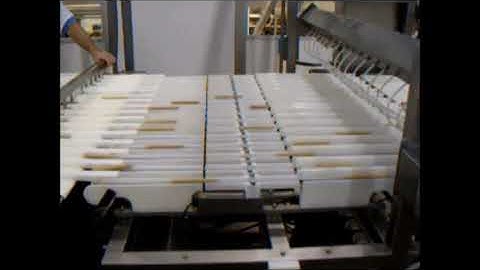 16 Lane Cookie Checkweigher