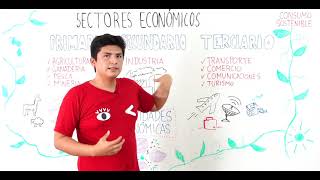 Sectores Económicos
