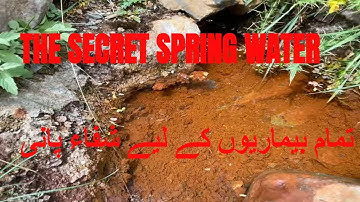 𝐓𝐡𝐞 𝐒𝐞𝐜𝐫𝐞𝐭 𝐒𝐩𝐫𝐢𝐧𝐠 𝐖𝐚𝐭𝐞𝐫|𝗛𝗶𝗱𝗱𝗲𝗻 𝗦𝗽𝗿𝗶𝗻𝗴 𝗪𝗮𝘁𝗲𝗿 | 𝗦𝗰𝗶𝗲𝗻𝗰𝗲 𝗘𝘅𝗽𝗼𝘀𝗲𝘀 𝘁𝗵𝗲 𝗥𝗲𝗮𝗹𝗶𝘁𝘆|𝙎𝙥𝙧𝙞𝙣𝙜 𝙤𝙛 𝙈𝙚𝙙𝙞𝙘𝙞𝙣𝙚𝙨