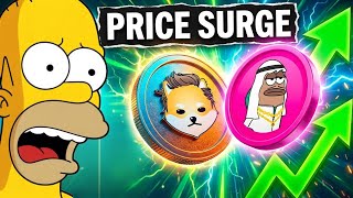 Mubarak Coin Is Exploding Dogelon Mars In Danger?