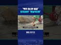 "맥주 마시면 벌금" 외국인은? #shorts