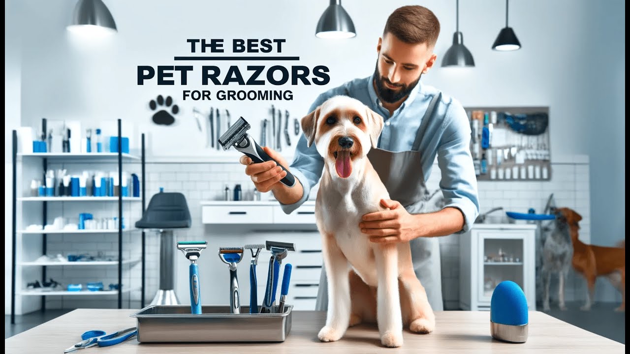 ️ Highdas Dog Grooming Kit Clippers Best Pet Razor for Grooming 🐶