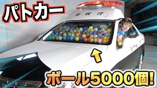 ボール5000個をパトカーに敷き詰めてプールしてみた