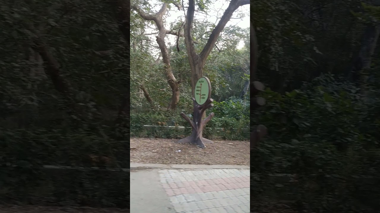 KANPUR ZOO TOY TRAIN🎊🚃👨‍👩‍👧(1)