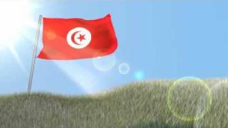 Tunisia Flag.flv