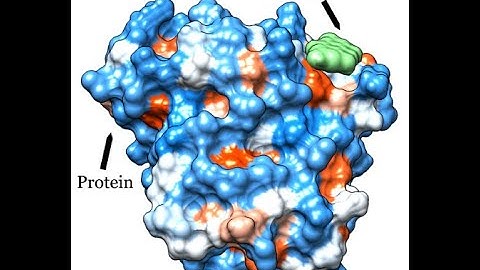 Molecular Docking with Autodock