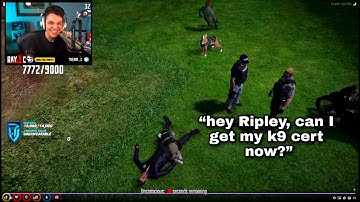 Ray reacts to Ramee and ratedepicz getting attacked by K9