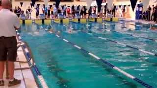 X, Elise,Brit 50 Br 2014 Divs