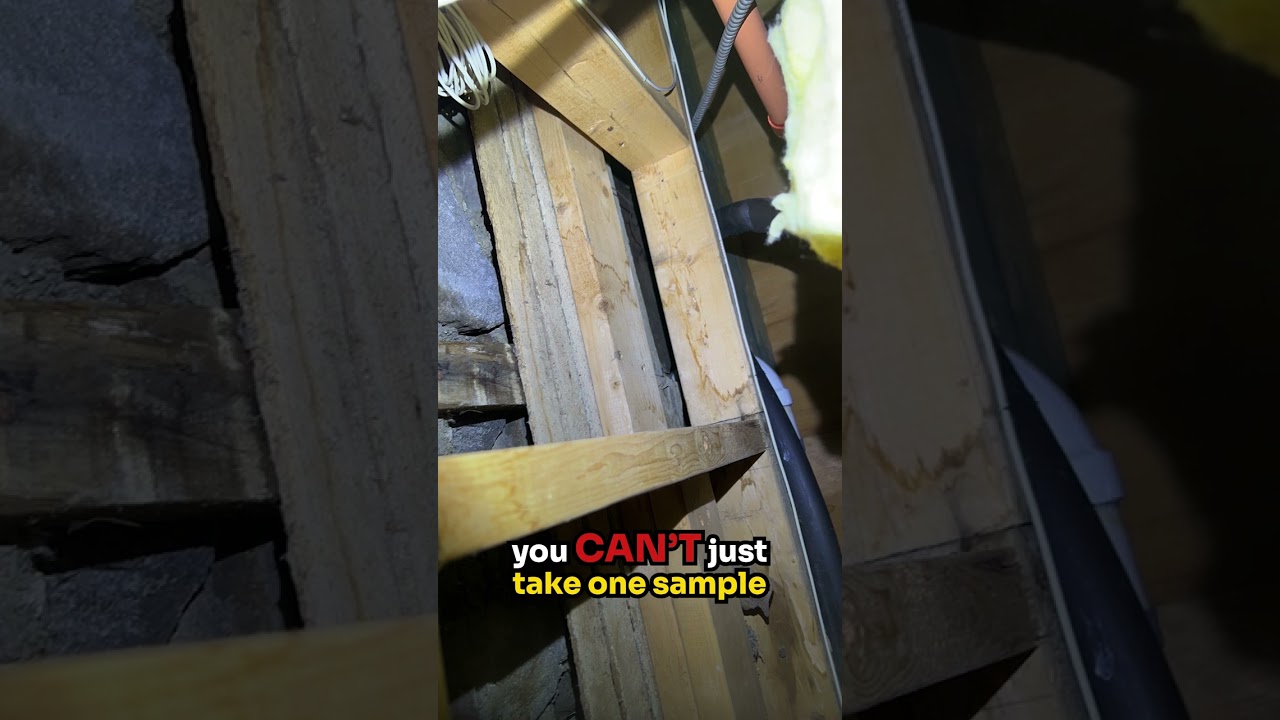 335K+ Toxic Mold Spores Almost Undetected