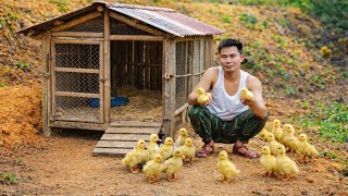 Download Lagu Ha Lam brought the tiny ducklings back to her farm to care for them. MP3